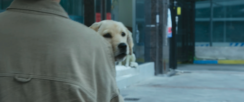 So.Long.For.Love.2023.2160p.WEB DL.DDP5.1.H265.HDR MISS.mkv 20240124 175936.045.png