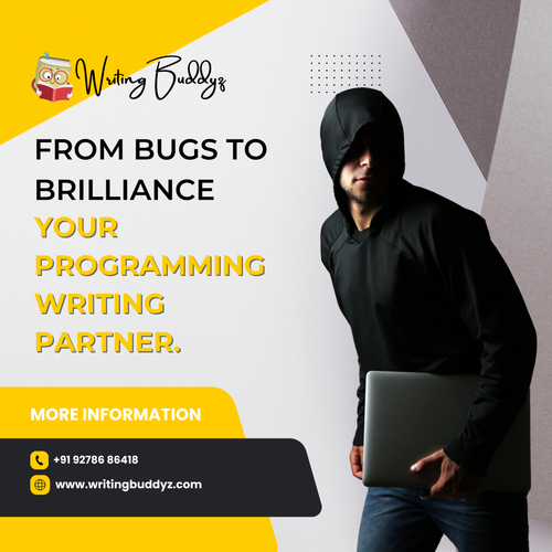 Programming Assignment Help.png