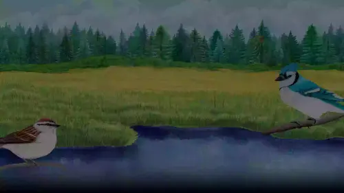 d41ec3f81b4bed2076b90aaccda19910143a1a83 [MConverter.eu].webp