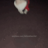 04xzger3qwbc1.gif