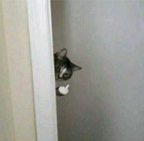 Screenshot 20240122 202807 Pinterest.jpg