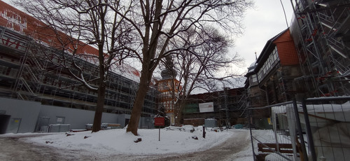 IMG 20240121 084959.jpg