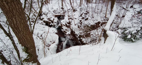 IMG 20240121 093456.jpg