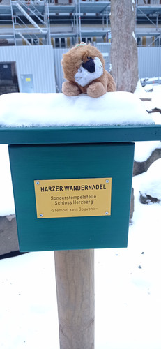 IMG 20240121 085311.jpg