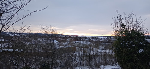 IMG 20240121 084158.jpg