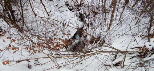 IMG 20240121 093516.jpg