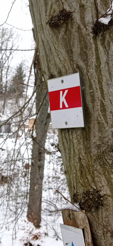 IMG 20240121 093115.jpg