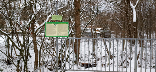 IMG 20240121 093349.jpg