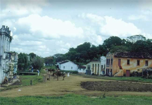 {CAE1AA2E AAED 5117 BBDD D6B2C6D1DE6B} 650X450.jpg