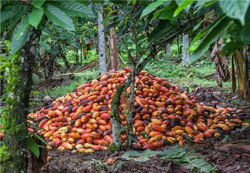 {EDCEE3CC B4EB 0EE4 ABCE 8D2CEB318CC1} 650X450.jpg