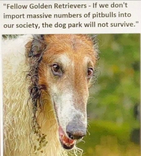 Screenshot 20240122 143200 X.jpg