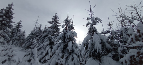 IMG 20240121 111739.jpg