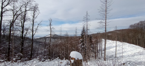 IMG 20240121 120630.jpg