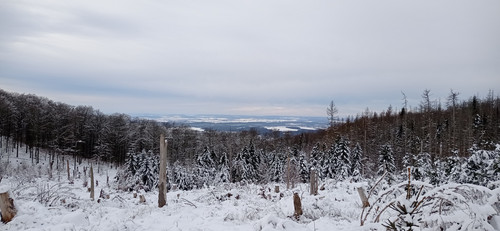 IMG 20240121 111102.jpg