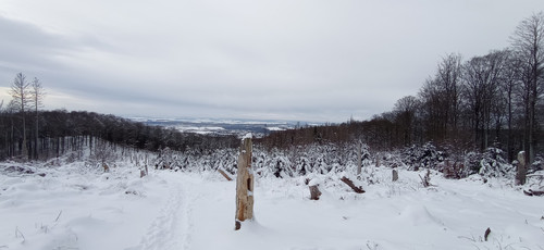 IMG 20240121 111352.jpg