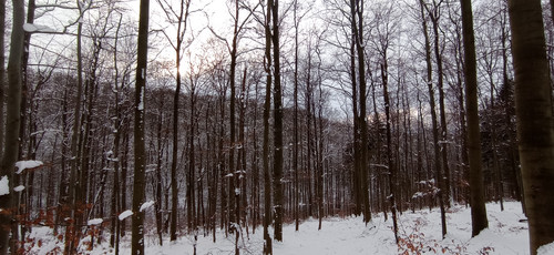 IMG 20240121 102311.jpg