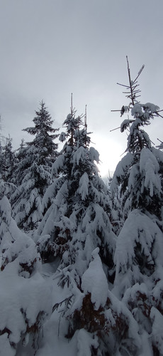 IMG 20240121 111744.jpg