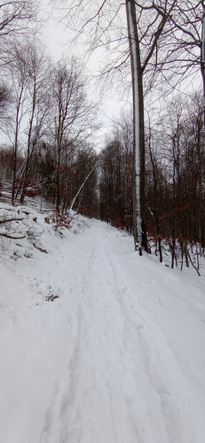 IMG 20240121 101457.jpg