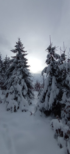 IMG 20240121 111804.jpg