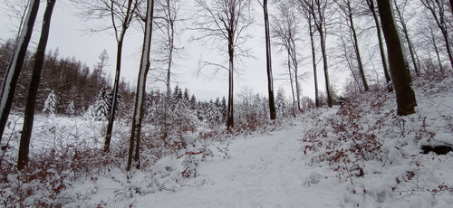 IMG 20240121 110224.jpg