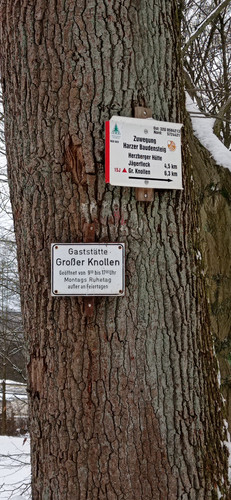 IMG 20240121 095600.jpg