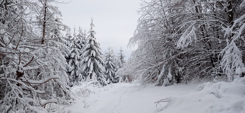 IMG 20240121 112204.jpg