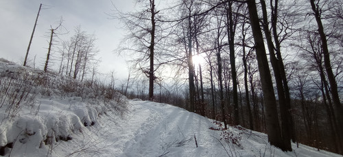 IMG 20240121 120856.jpg