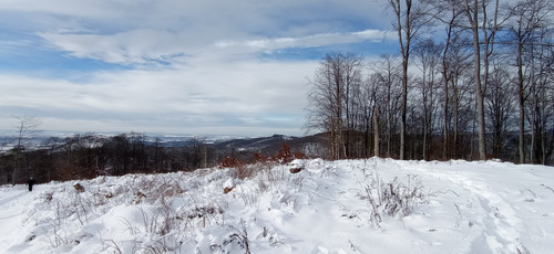 IMG 20240121 121328.jpg