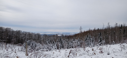 IMG 20240121 111020.jpg