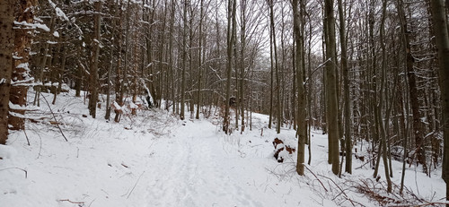 IMG 20240121 103656.jpg