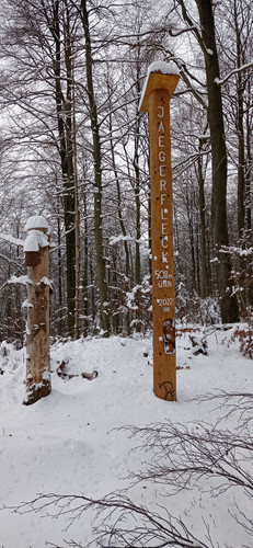 IMG 20240121 114630.jpg