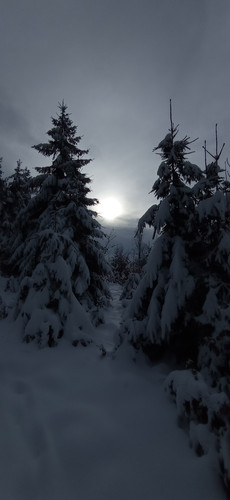 IMG 20240121 111809.jpg