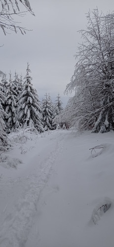 IMG 20240121 112200.jpg