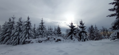 IMG 20240121 112354.jpg