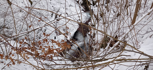 IMG 20240121 093522.jpg