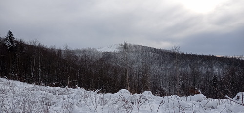 IMG 20240121 115949.jpg