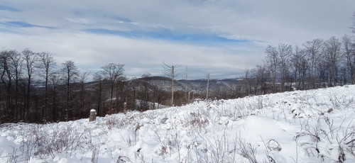 IMG 20240121 121124.jpg