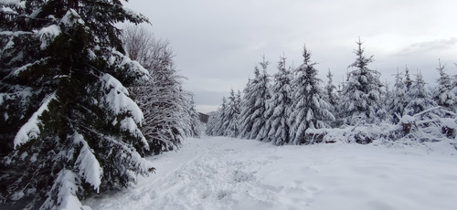 IMG 20240121 112357.jpg