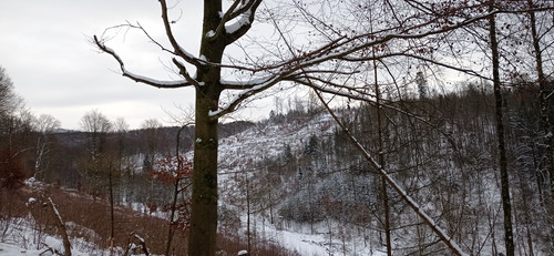 IMG 20240121 100208.jpg