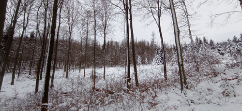 IMG 20240121 110221.jpg