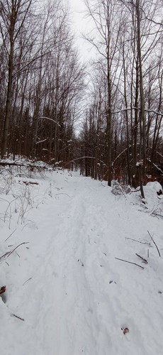 IMG 20240121 103446.jpg