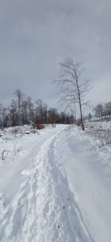 IMG 20240121 121133.jpg