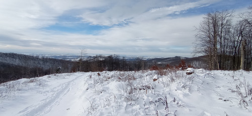 IMG 20240121 121410.jpg