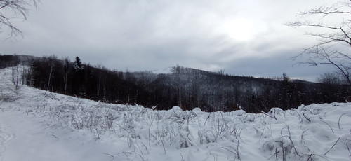 IMG 20240121 115942.jpg