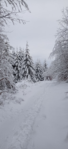 IMG 20240121 112208.jpg