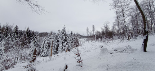 IMG 20240121 110349.jpg