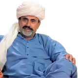Sajjad Khan Sehar removebg preview.png