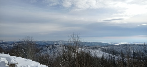 IMG 20240121 123558.jpg