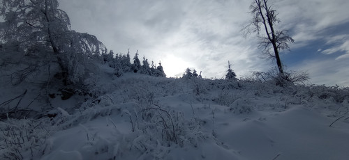 IMG 20240121 122142.jpg