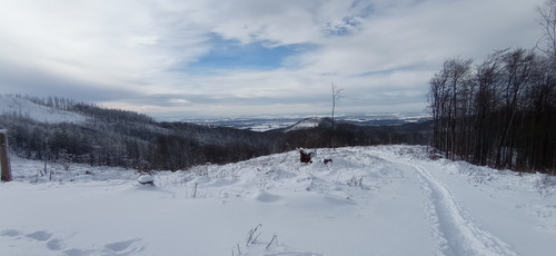 IMG 20240121 121623.jpg